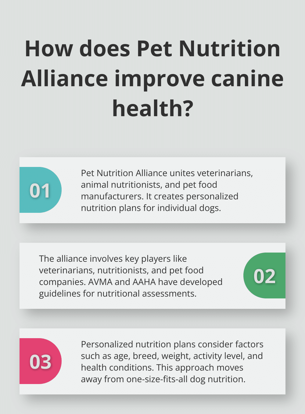 Infographic: How does Pet Nutrition Alliance improve canine health?