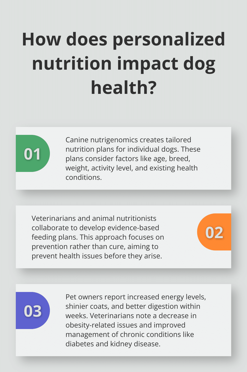 Infographic: How does personalized nutrition impact dog health? - nutrition alliance dog