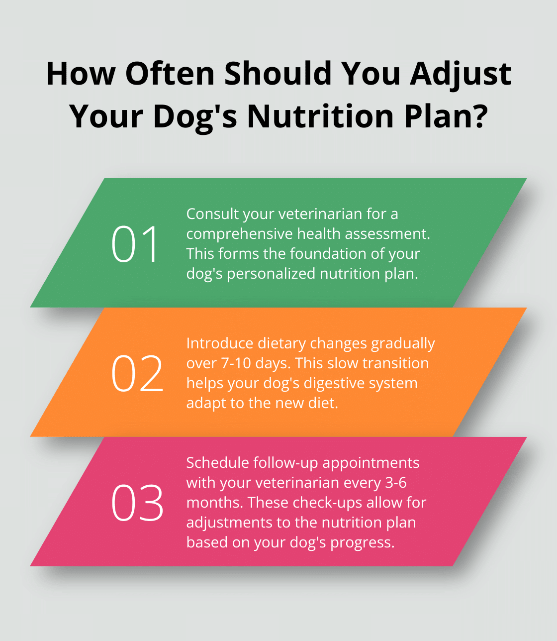 Infographic: How Often Should You Adjust Your Dog's Nutrition Plan? - nutrition alliance dog