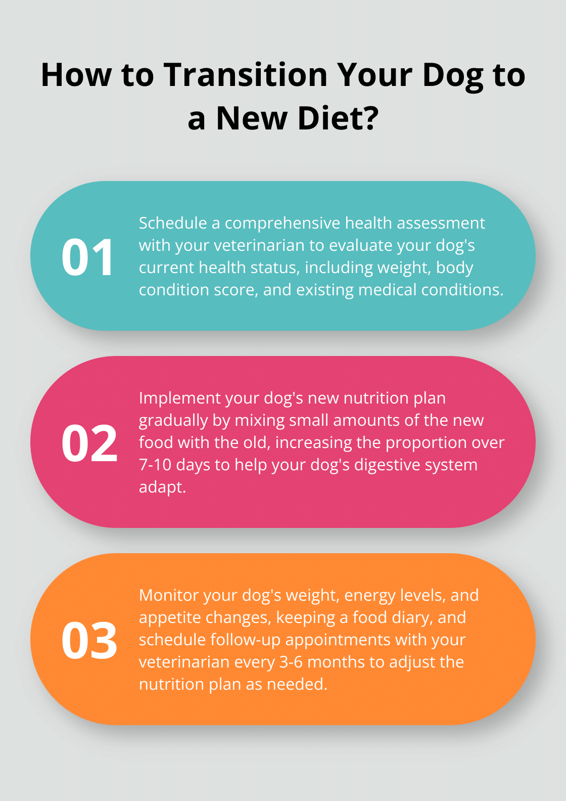 Infographic: How to Transition Your Dog to a New Diet?