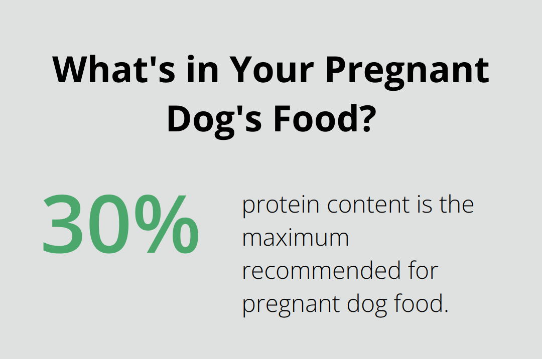 Infographic: What's in Your Pregnant Dog's Food?