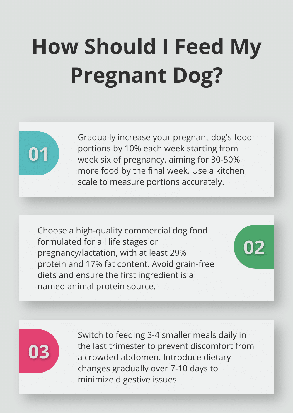 Infographic: How Should I Feed My Pregnant Dog? - nutrition for pregnant dog